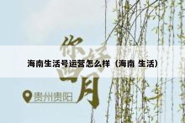 海南生活号运营怎么样（海南 生活）