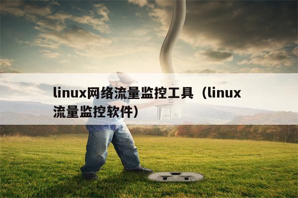linux网络流量监控工具（linux 流量监控软件）