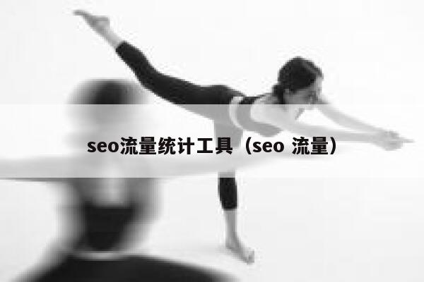 seo流量统计工具（seo 流量）