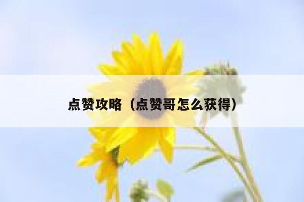 点赞攻略（点赞哥怎么获得）