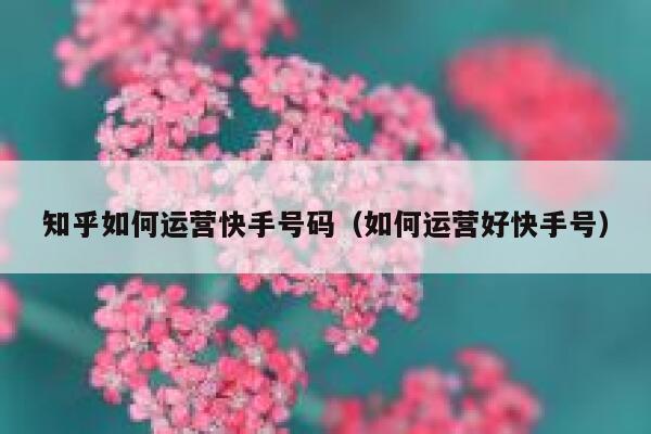 知乎如何运营快手号码（如何运营好快手号）