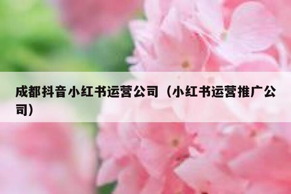 成都抖音小红书运营公司（小红书运营推广公司）