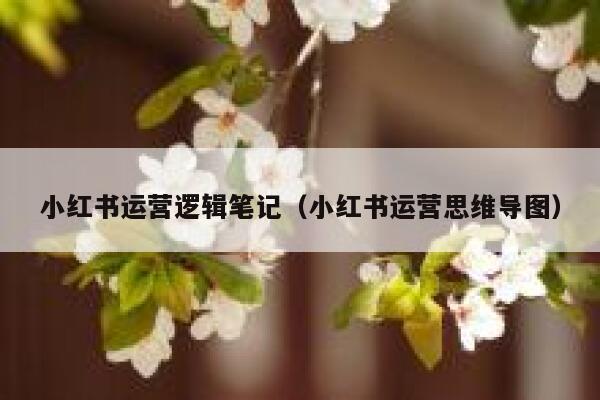 小红书运营逻辑笔记（小红书运营思维导图）