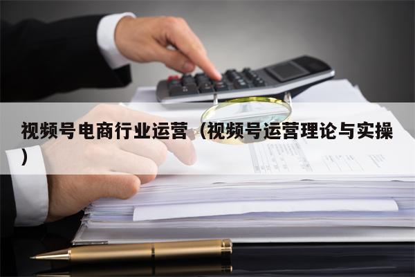 视频号电商行业运营（视频号运营理论与实操）