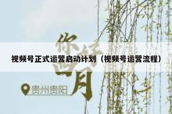 视频号正式运营启动计划（视频号运营流程）