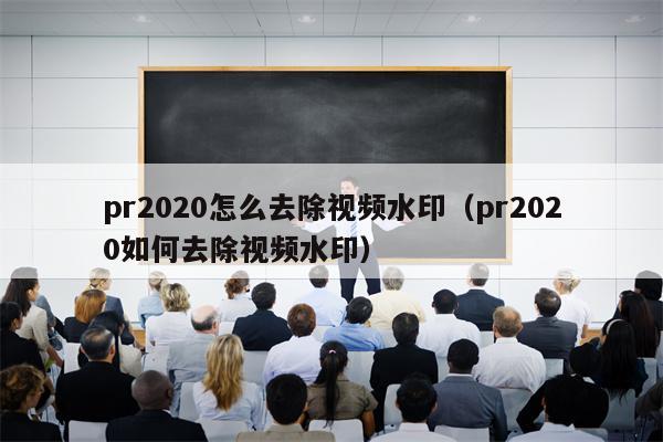 pr2020怎么去除视频水印（pr2020如何去除视频水印）