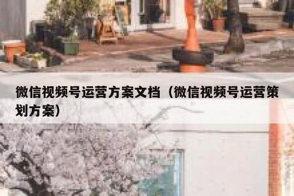 微信视频号运营方案文档（微信视频号运营策划方案）