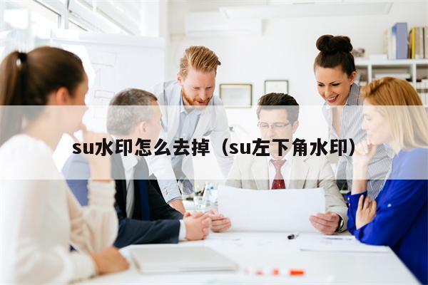 su水印怎么去掉（su左下角水印）