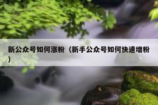 新公众号如何涨粉（新手公众号如何快速增粉）