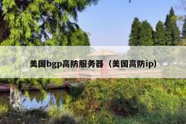 美国bgp高防服务器（美国高防ip）