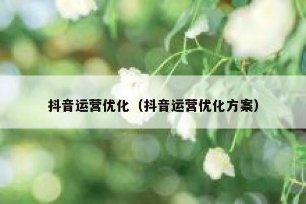 抖音运营优化（抖音运营优化方案）