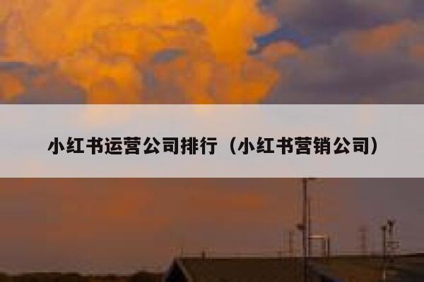 小红书运营公司排行（小红书营销公司）