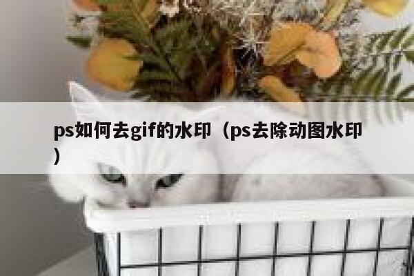 ps如何去gif的水印（ps去除动图水印）