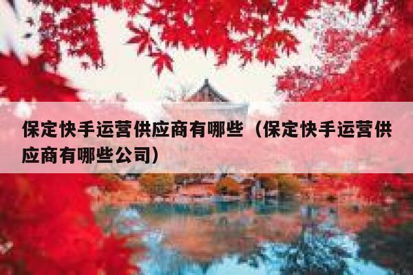 保定快手运营供应商有哪些（保定快手运营供应商有哪些公司）