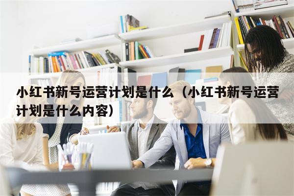 小红书新号运营计划是什么（小红书新号运营计划是什么内容）