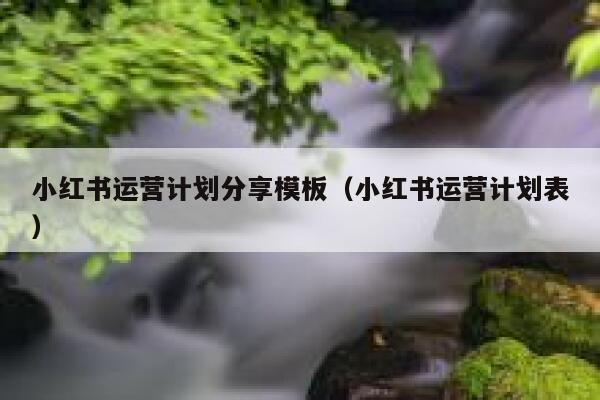 小红书运营计划分享模板（小红书运营计划表）