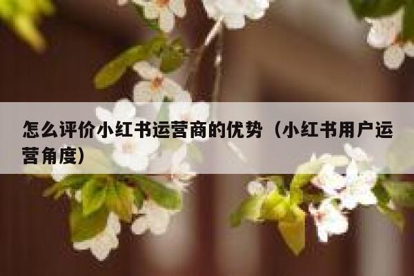 怎么评价小红书运营商的优势（小红书用户运营角度）