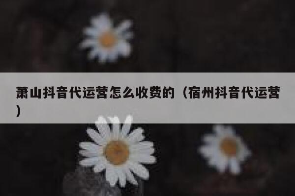 萧山抖音代运营怎么收费的（宿州抖音代运营）