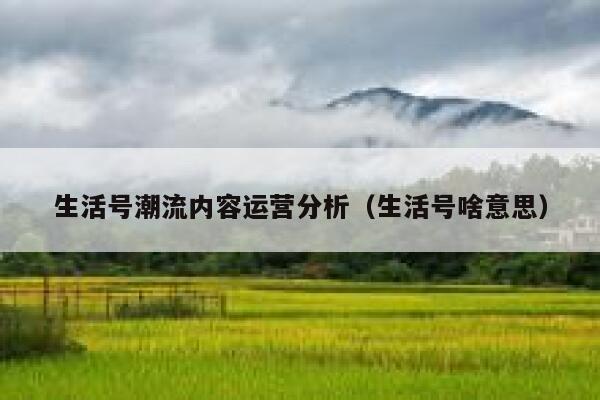 生活号潮流内容运营分析（生活号啥意思）