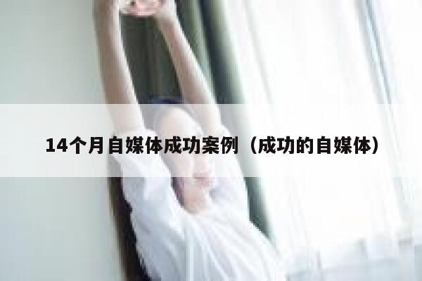 14个月自媒体成功案例（成功的自媒体）