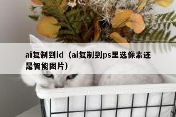 ai复制到id（ai复制到ps里选像素还是智能图片）