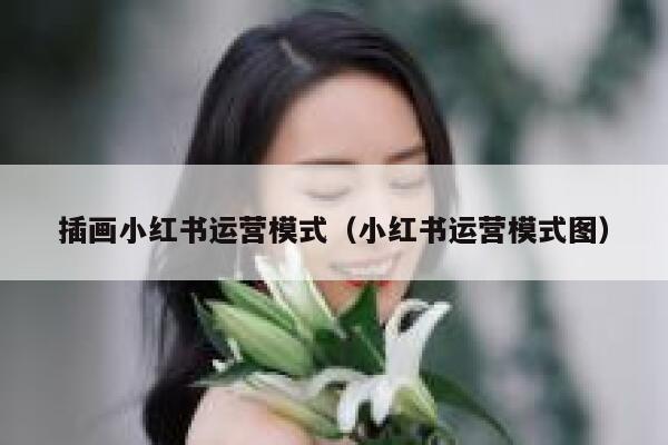 插画小红书运营模式（小红书运营模式图）