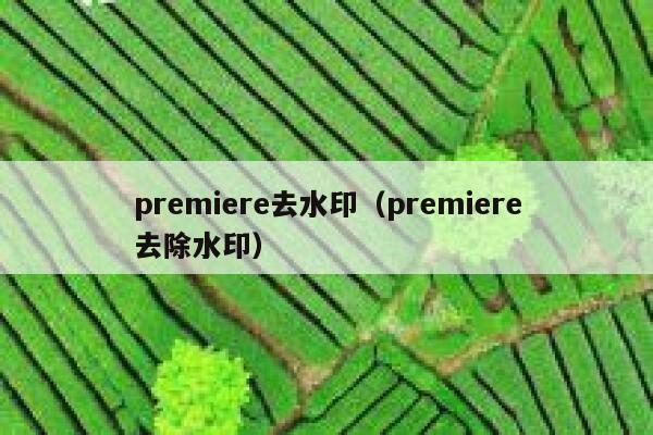 premiere去水印（premiere去除水印）