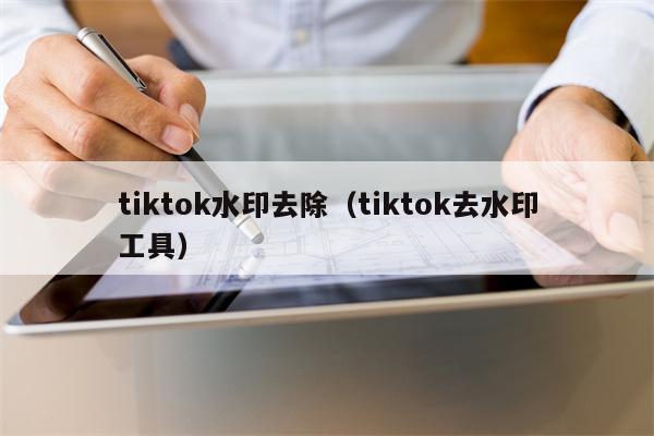 tiktok水印去除（tiktok去水印工具）