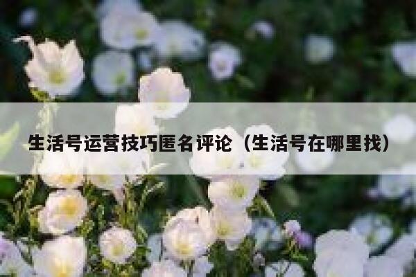 生活号运营技巧匿名评论（生活号在哪里找）