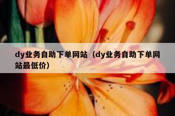 dy业务自助下单网站（dy业务自助下单网站最低价）