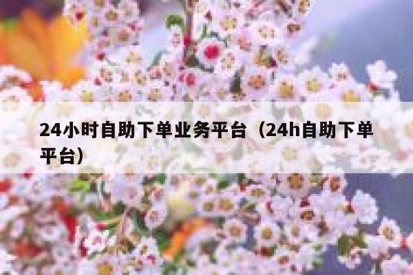 24小时自助下单业务平台（24h自助下单平台）