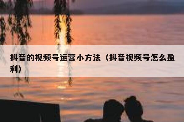 抖音的视频号运营小方法（抖音视频号怎么盈利）