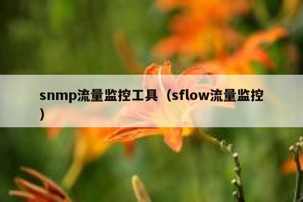 snmp流量监控工具（sflow流量监控）