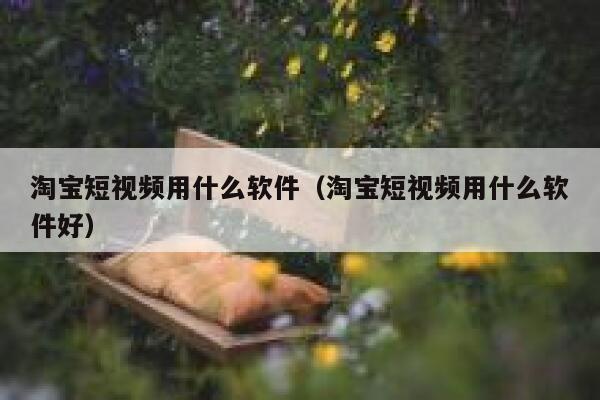 淘宝短视频用什么软件（淘宝短视频用什么软件好）