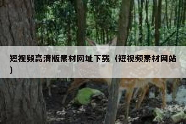 短视频高清版素材网址下载（短视频素材网站）