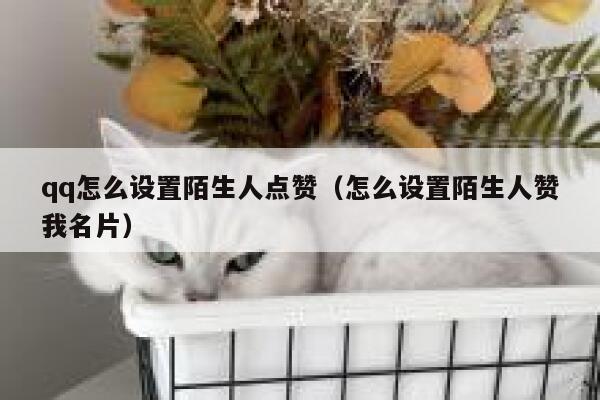 qq怎么设置陌生人点赞（怎么设置陌生人赞我名片）