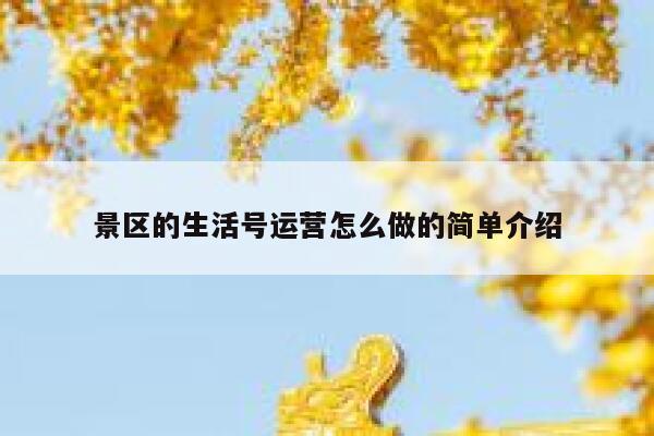 景区的生活号运营怎么做的简单介绍