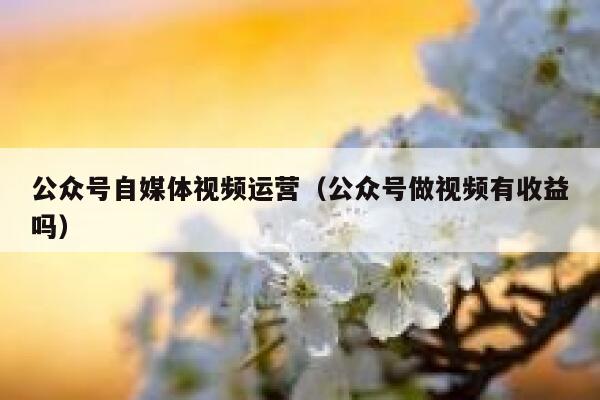 公众号自媒体视频运营（公众号做视频有收益吗）