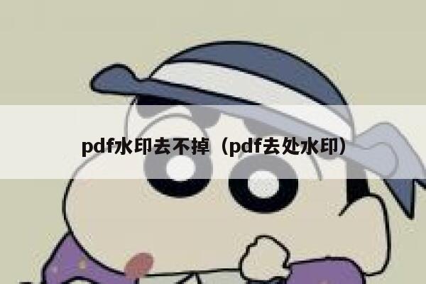 pdf水印去不掉（pdf去处水印）