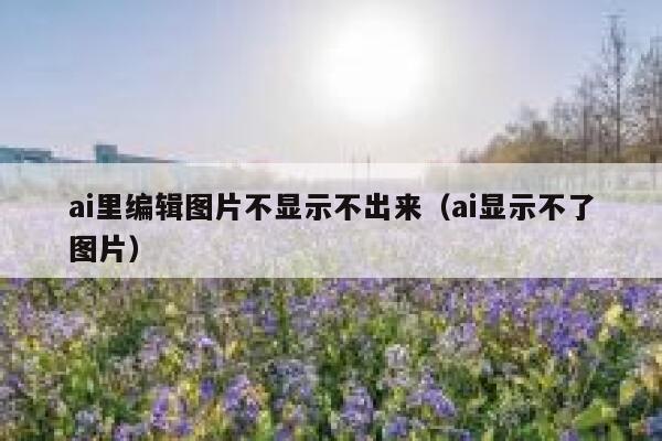 ai里编辑图片不显示不出来（ai显示不了图片）