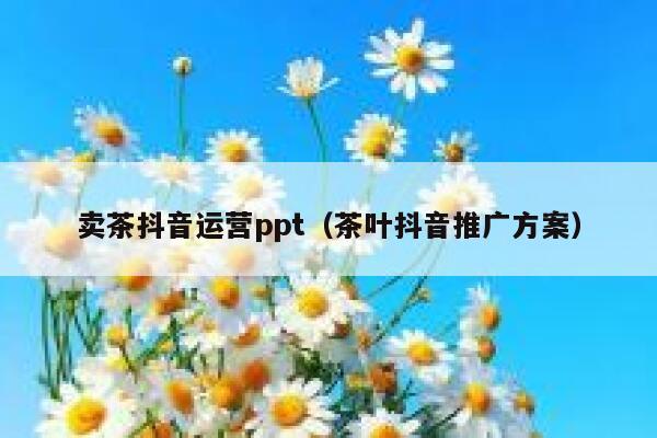 卖茶抖音运营ppt（茶叶抖音推广方案）