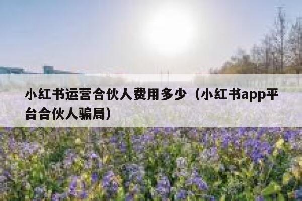 小红书运营合伙人费用多少（小红书app平台合伙人骗局）