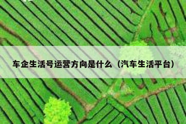 车企生活号运营方向是什么（汽车生活平台）