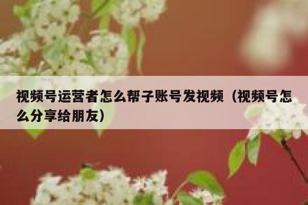 视频号运营者怎么帮子账号发视频（视频号怎么分享给朋友）