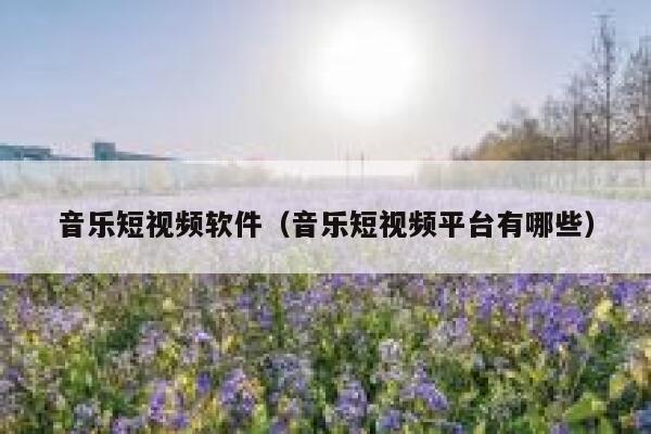 音乐短视频软件（音乐短视频平台有哪些）