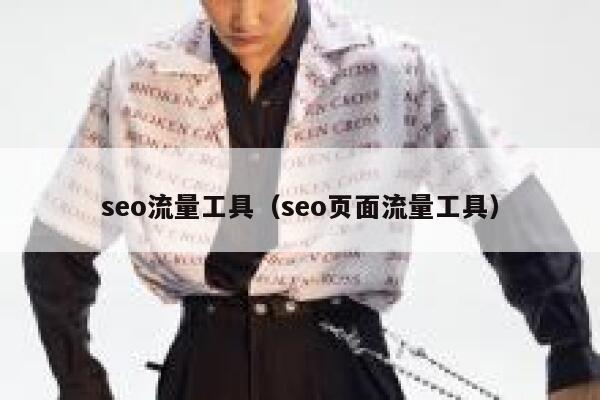 seo流量工具（seo页面流量工具）