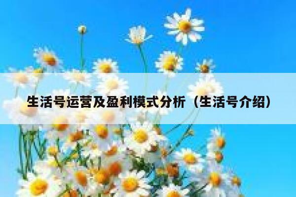 生活号运营及盈利模式分析（生活号介绍）