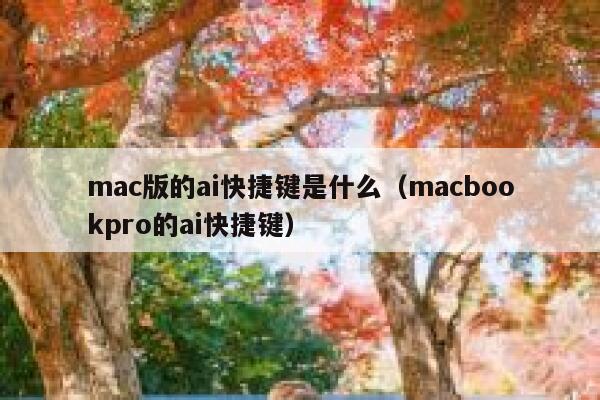 mac版的ai快捷键是什么（macbookpro的ai快捷键）