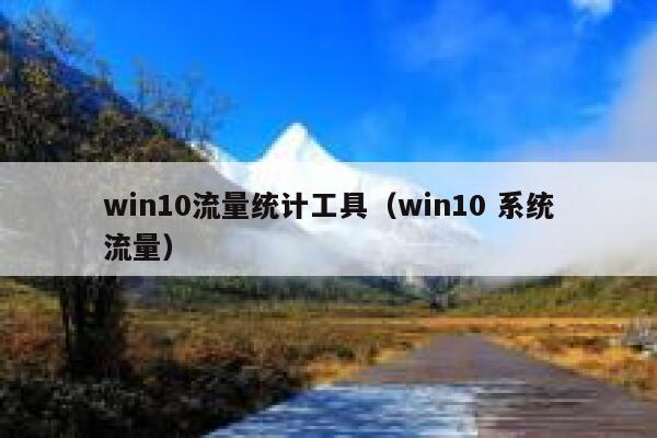 win10流量统计工具（win10 系统流量）