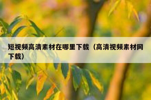 短视频高清素材在哪里下载（高清视频素材网下载）